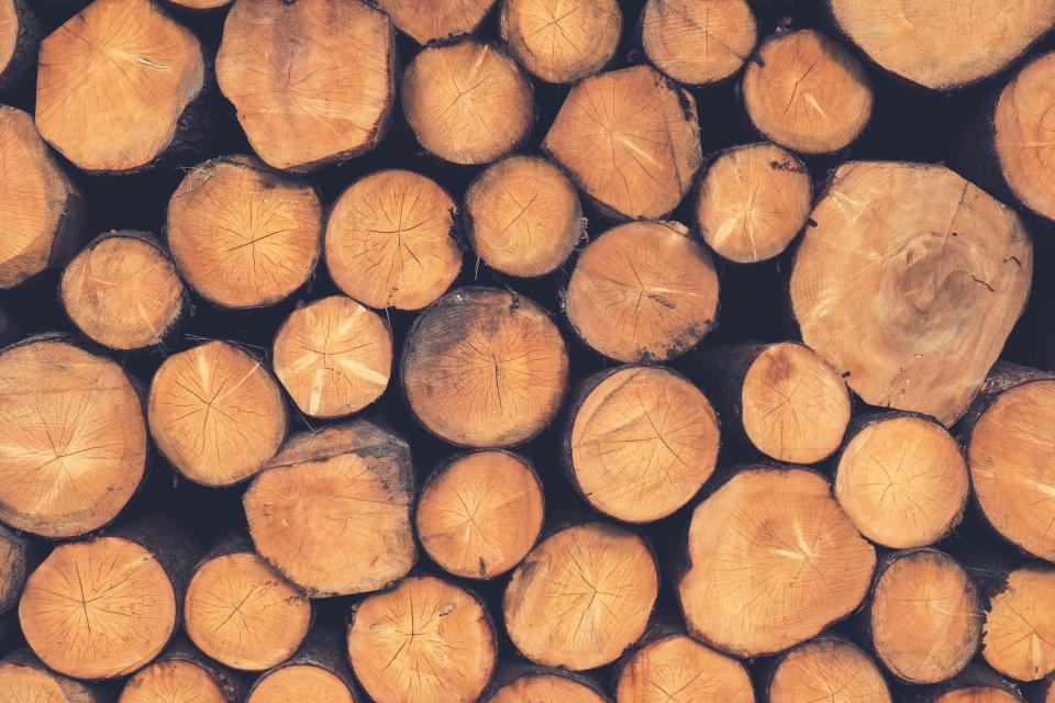 Rollizos de madera apilados